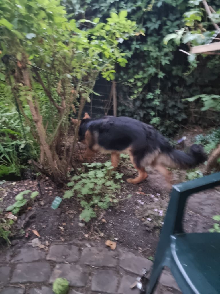 Fenna
