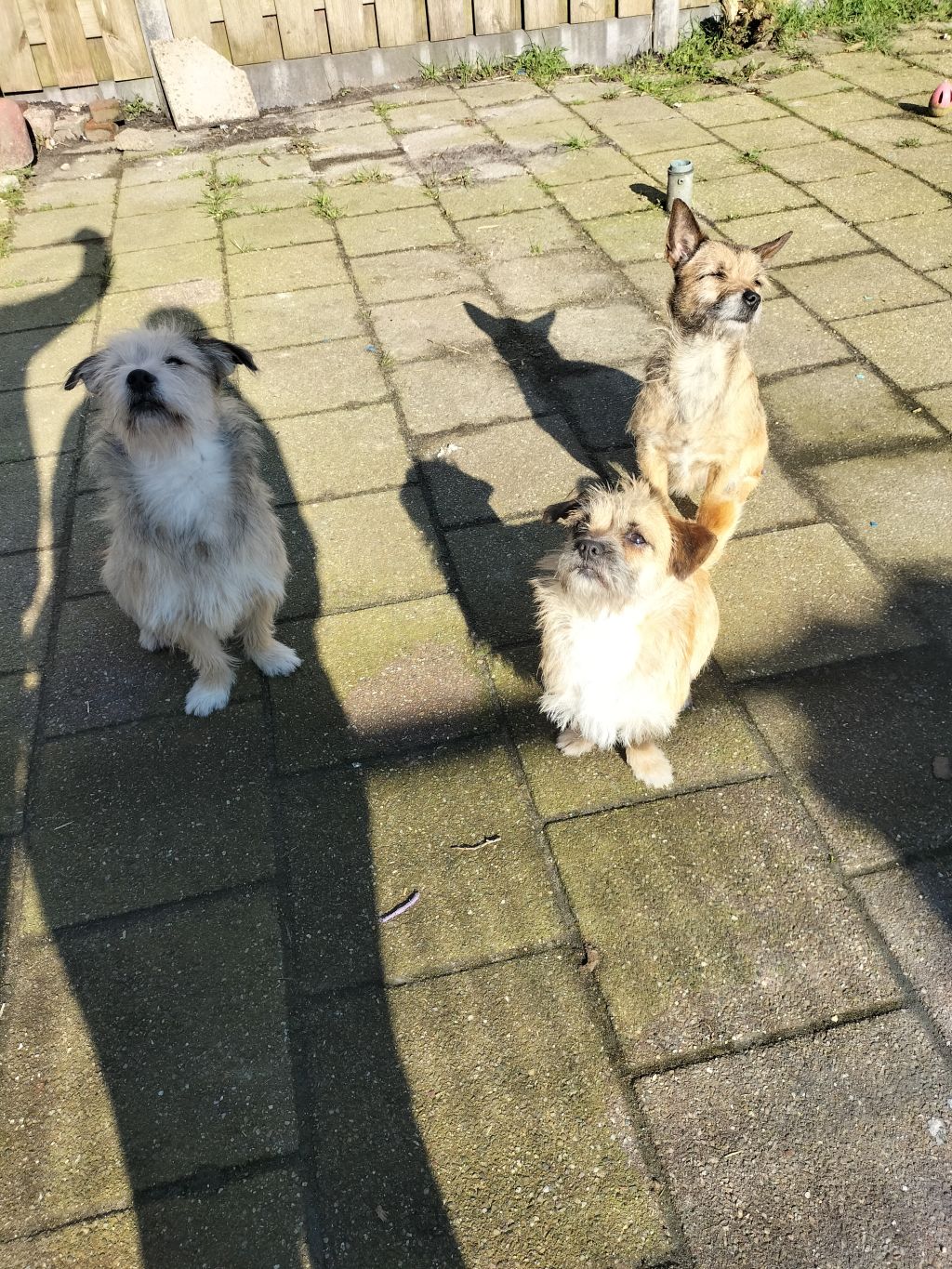 Kiki Luna en Balto