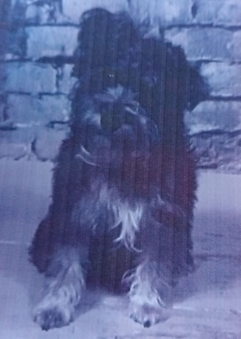 Rocky