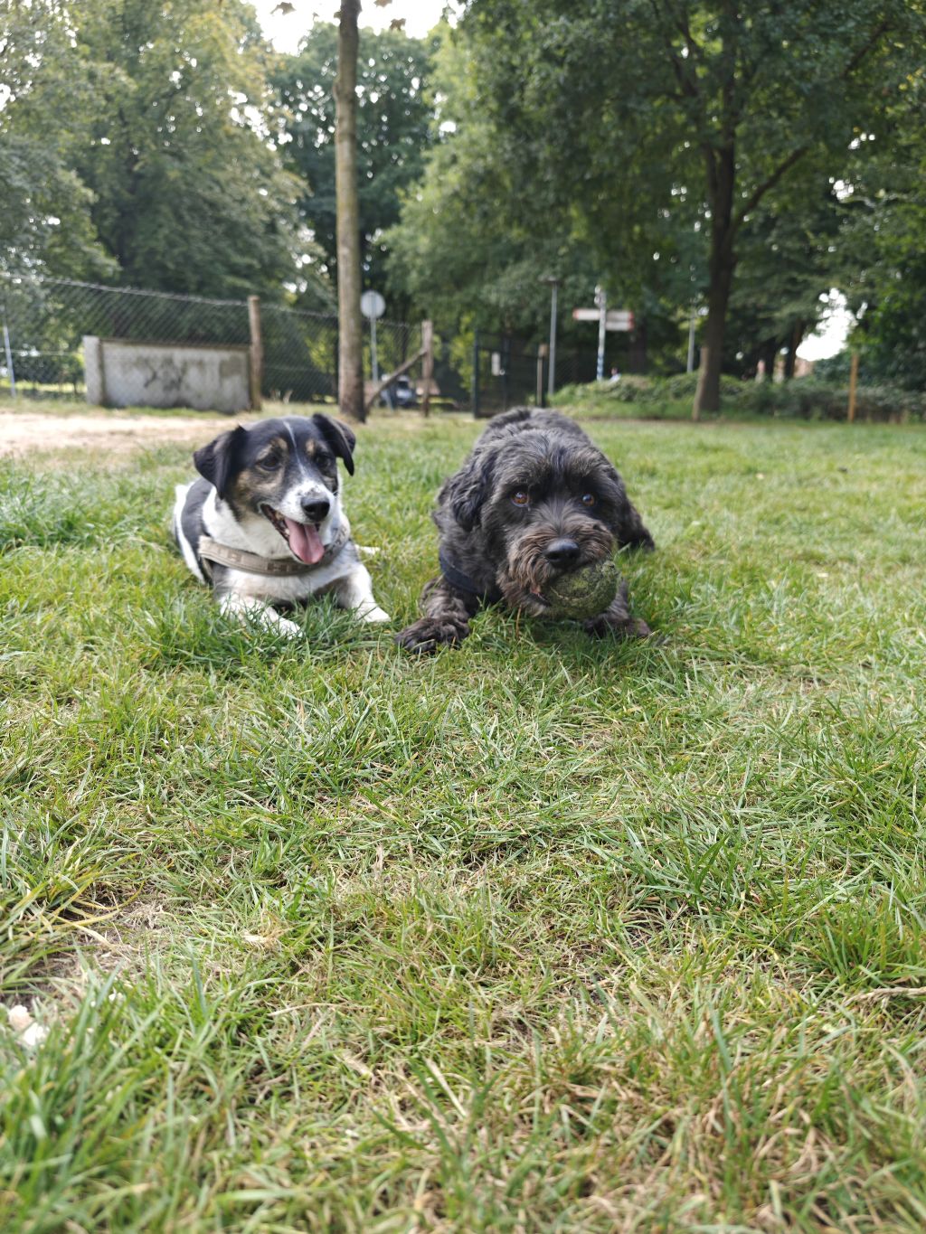 Harrie en Suus