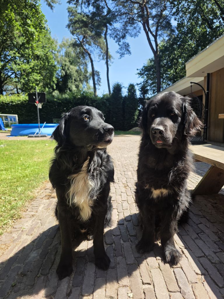 Marley en George