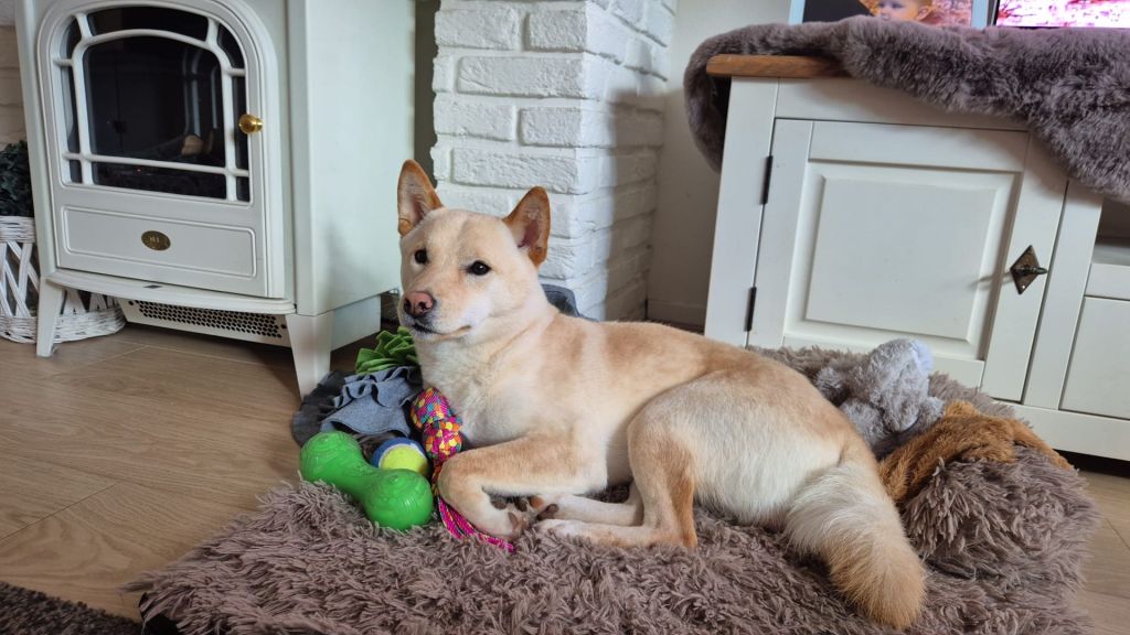 Milo