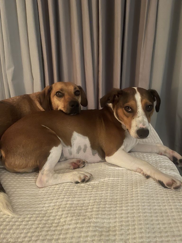 Yuca & Lucku