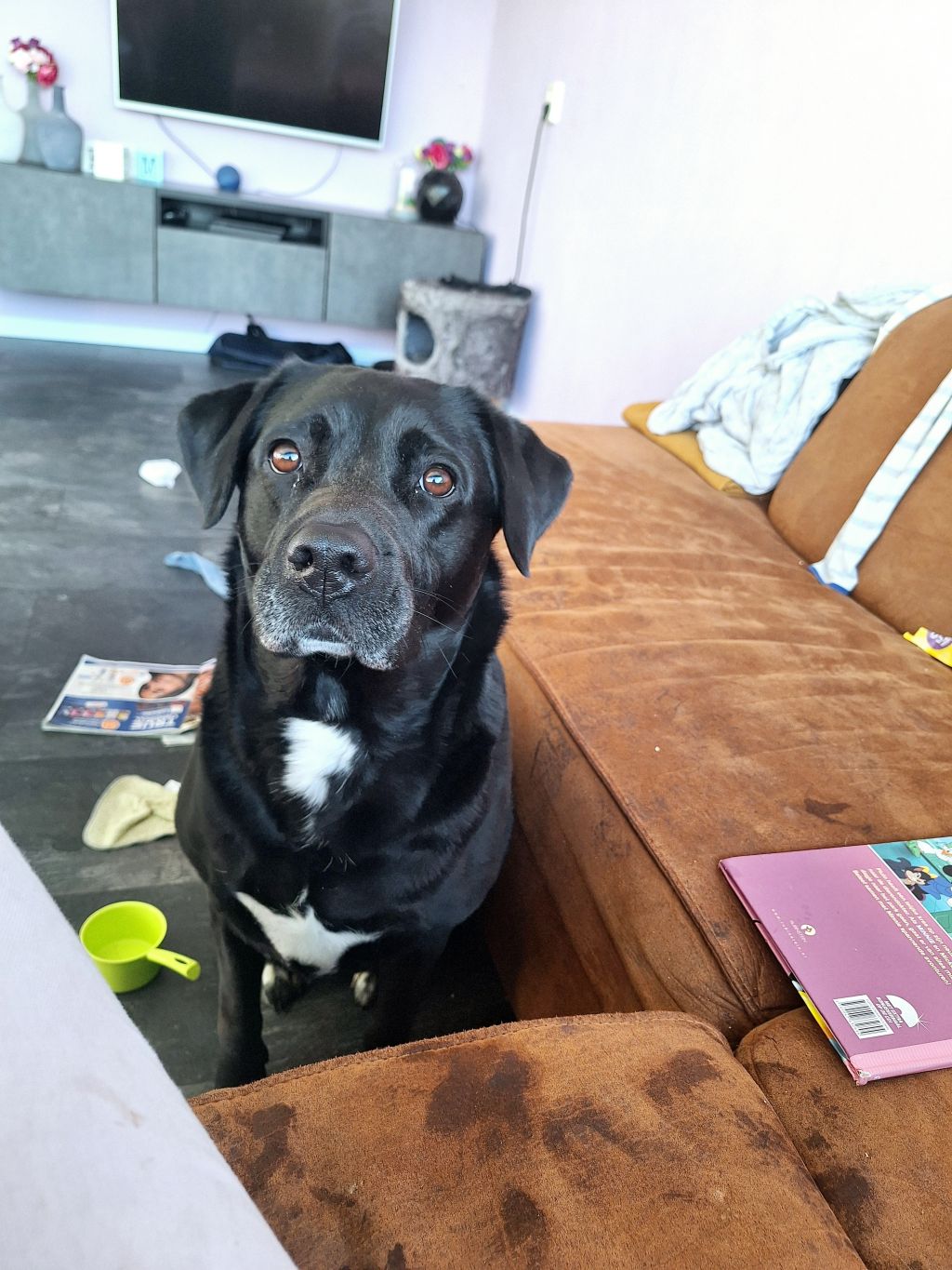 Bella