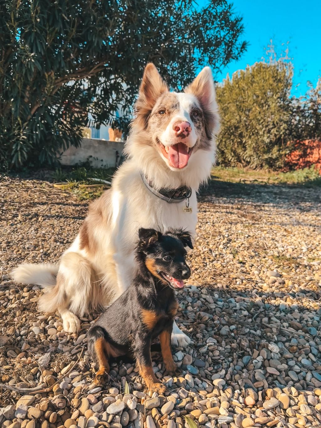 Cooper en Coco