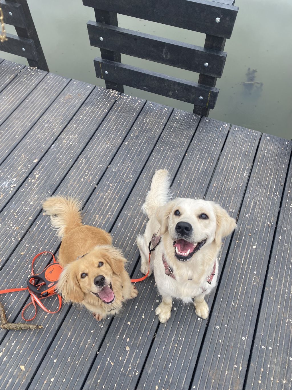 Luna & Luna