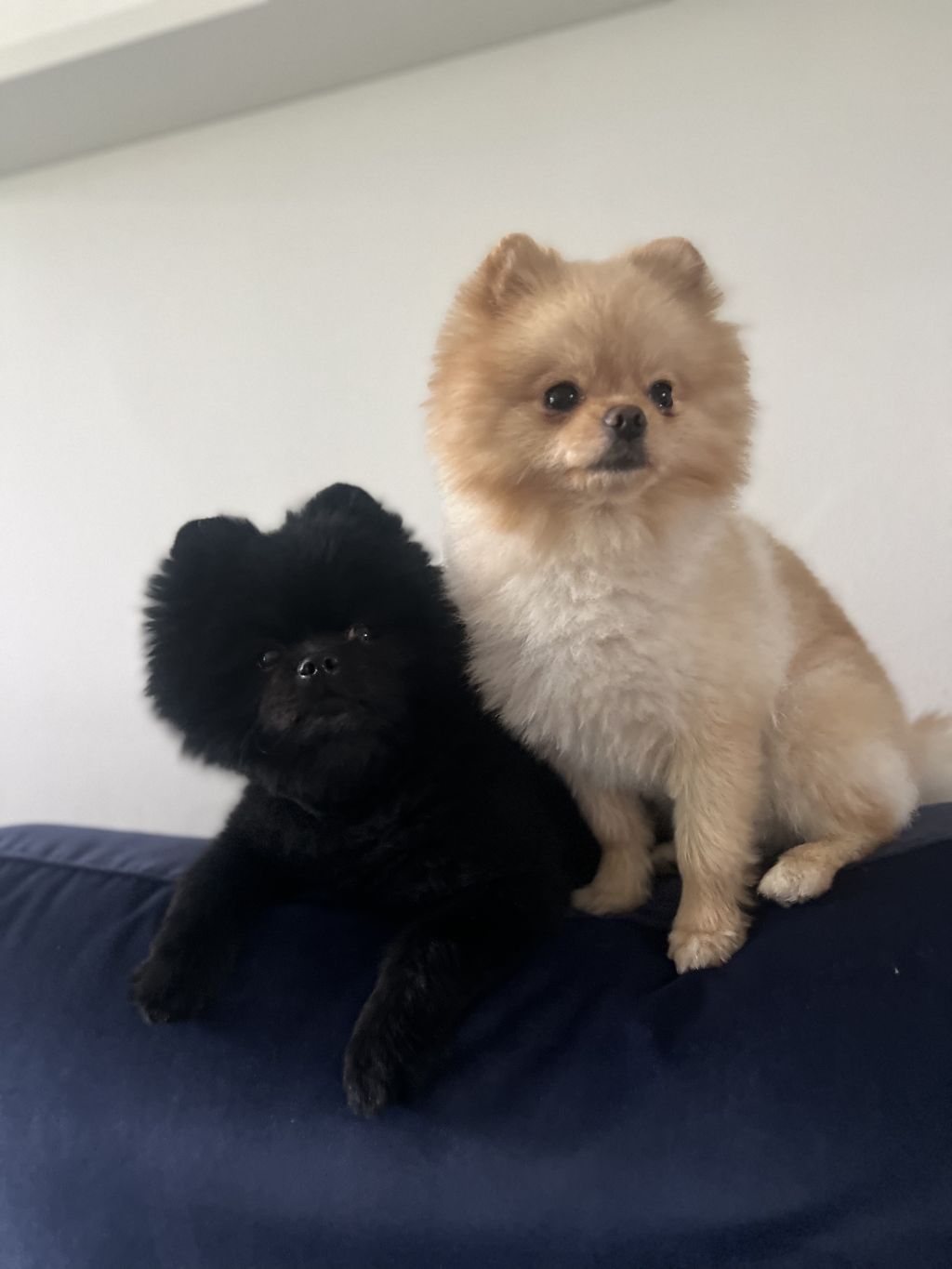 Louis & Ted