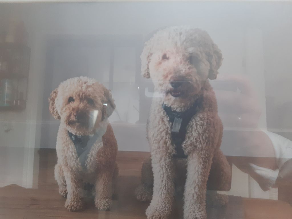 Max en Beau