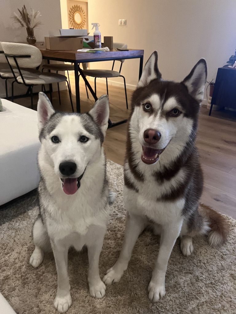 Luna & Zeus