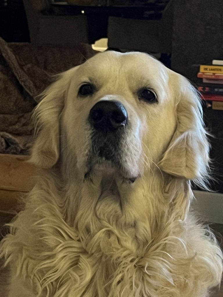 Bobby
