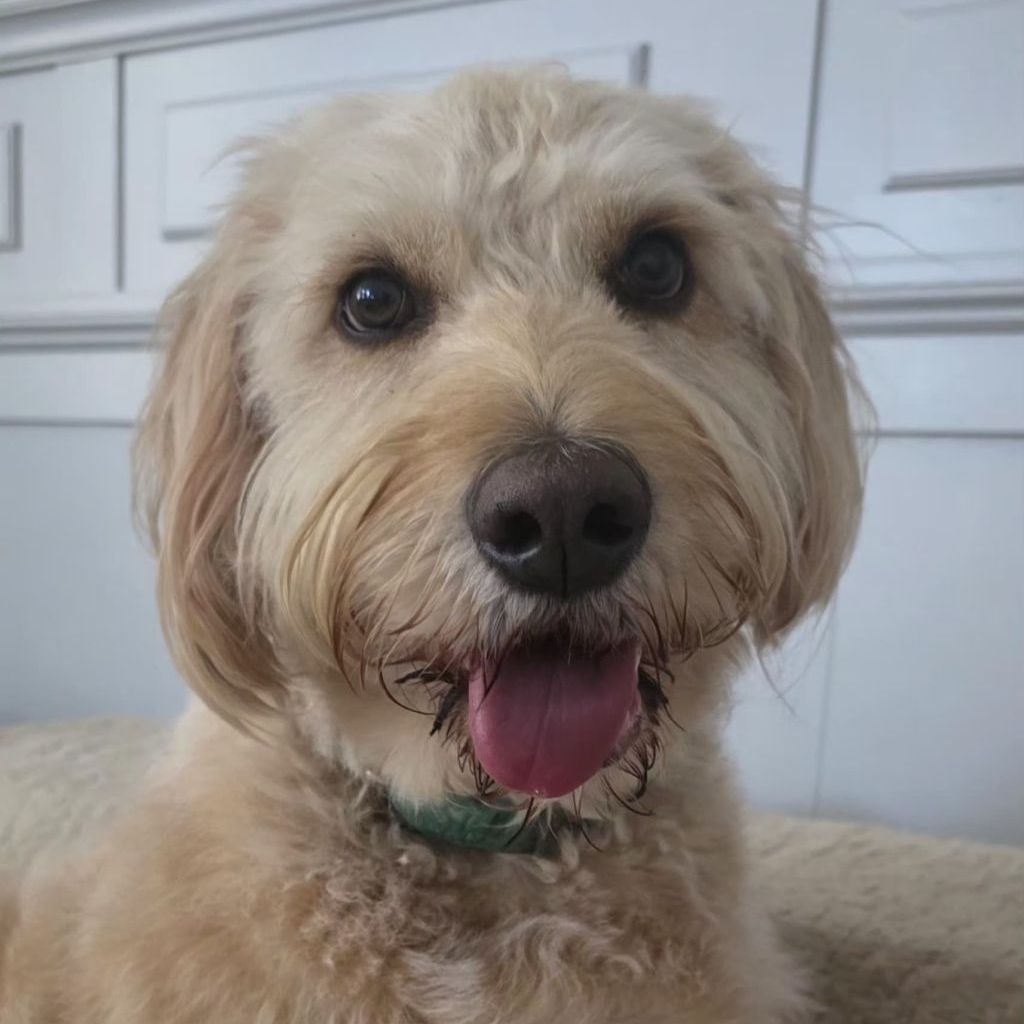Charlie
