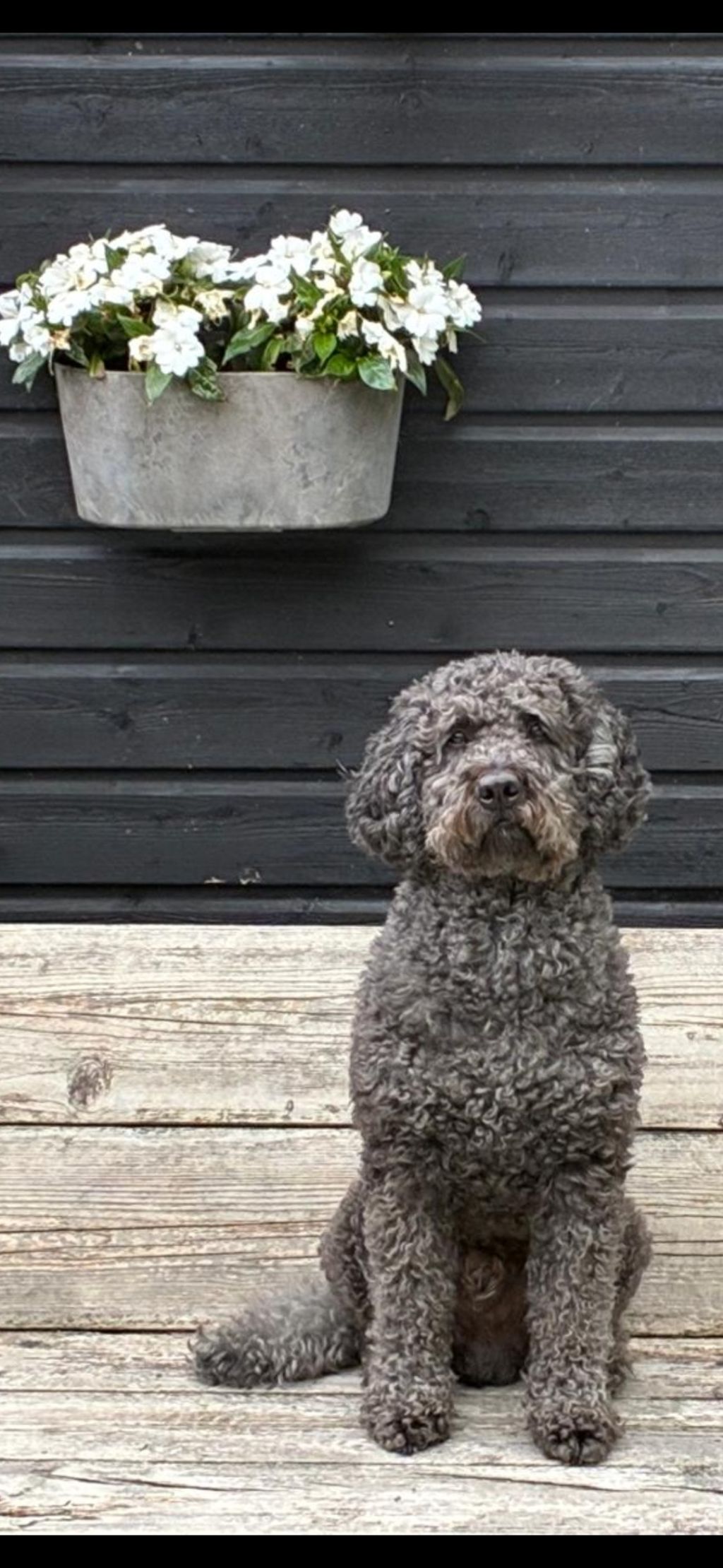 Charlie