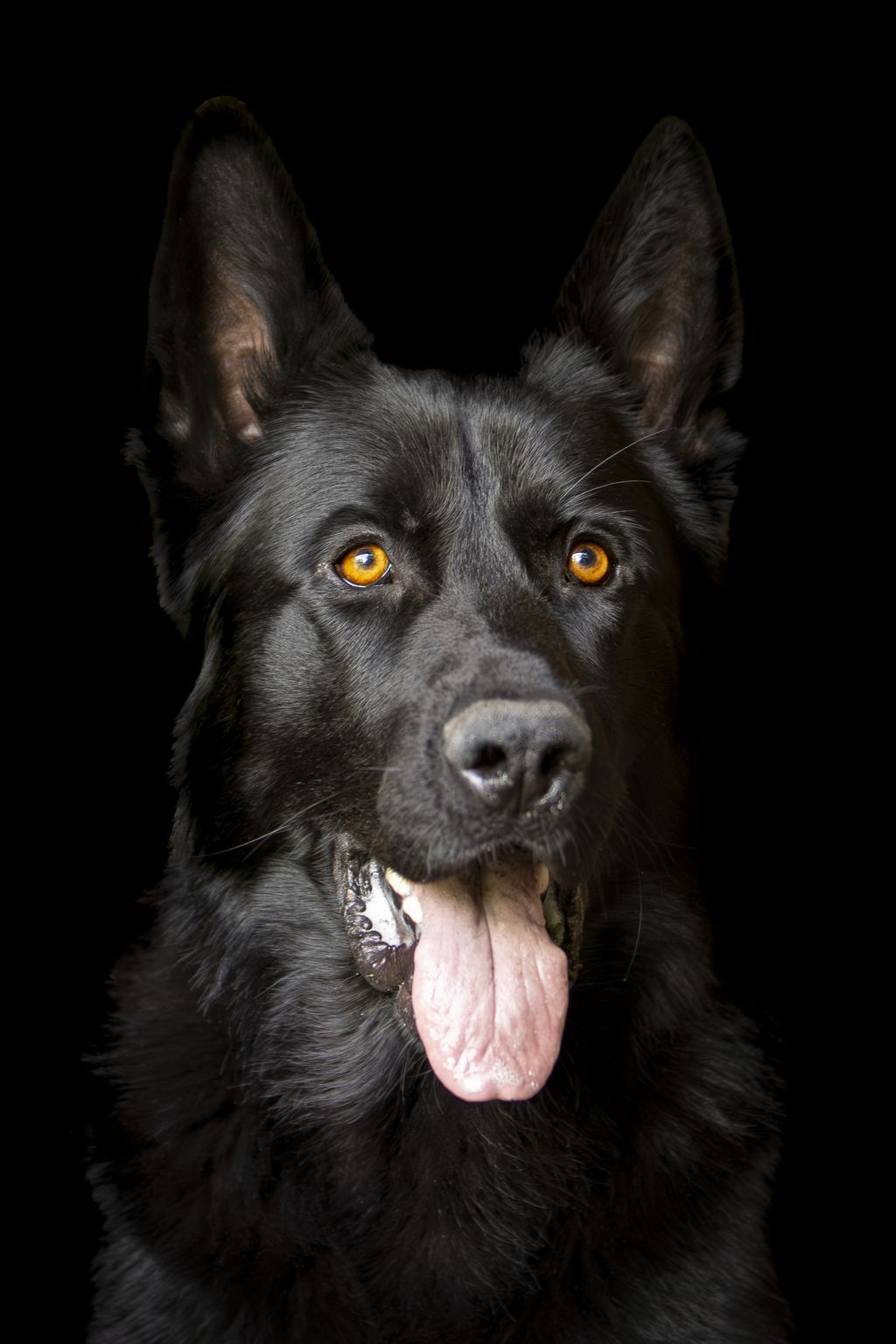 Oscar