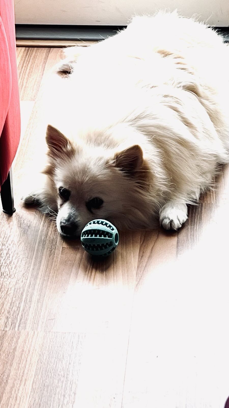 Charlie
