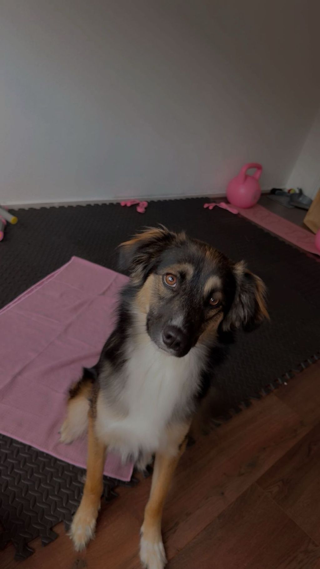 Sam
