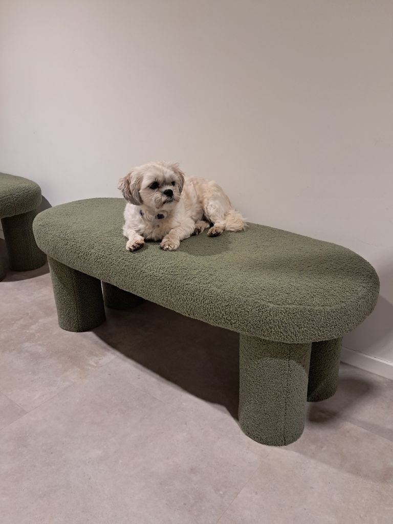Balou