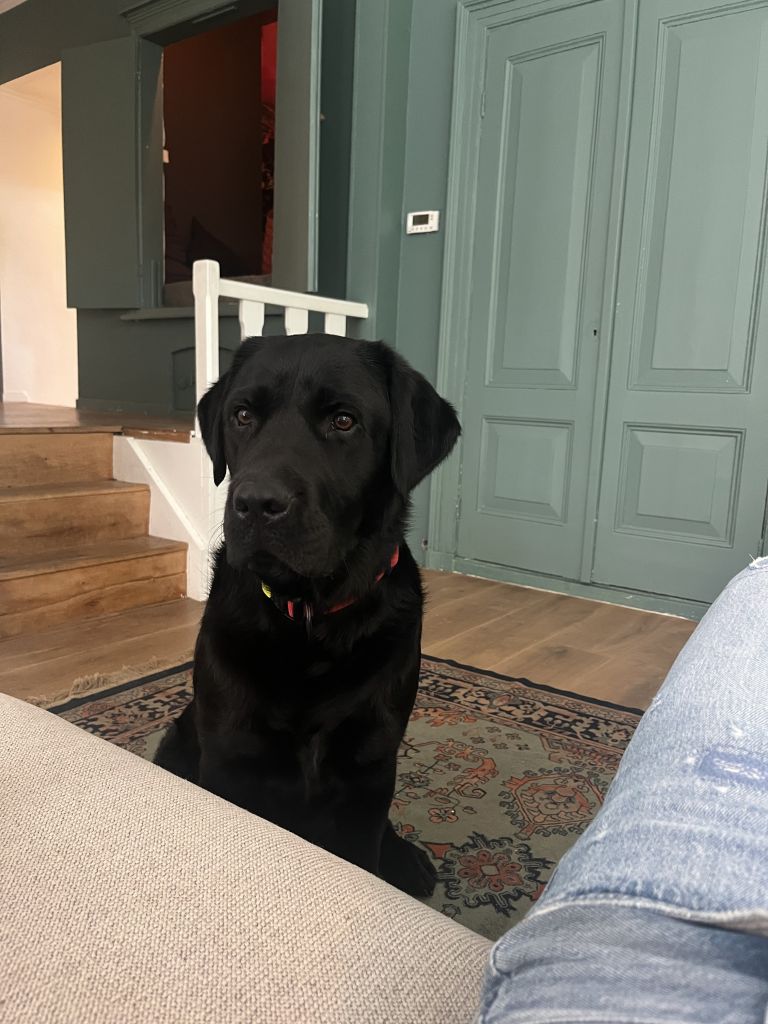 Milo