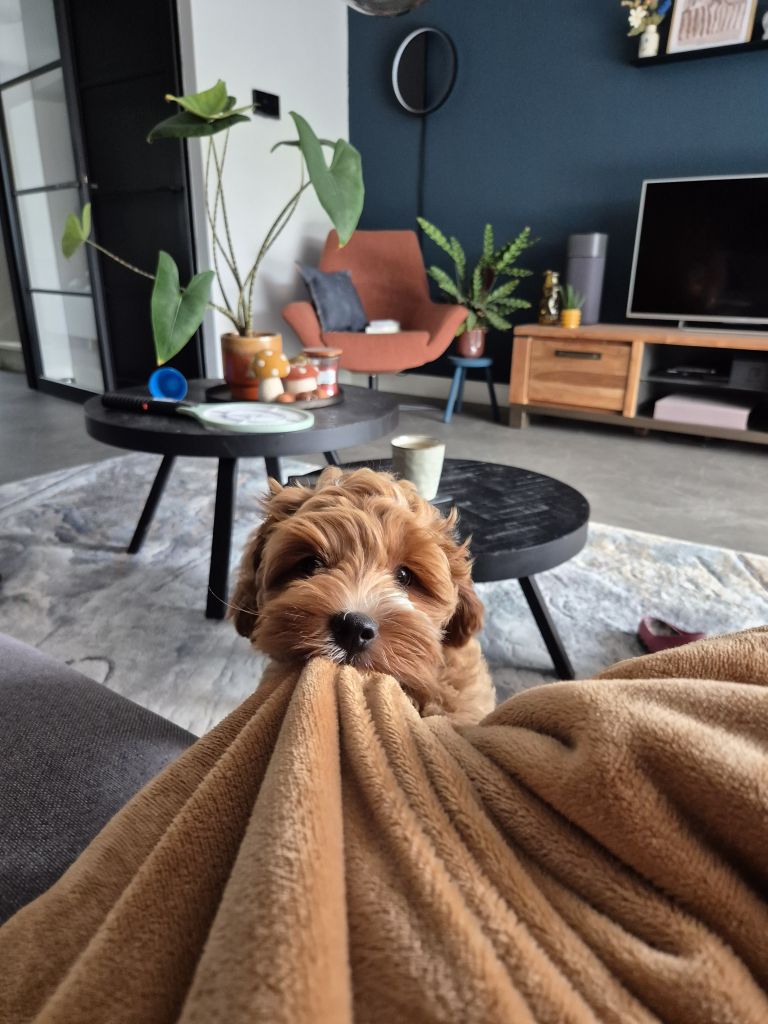 Twix