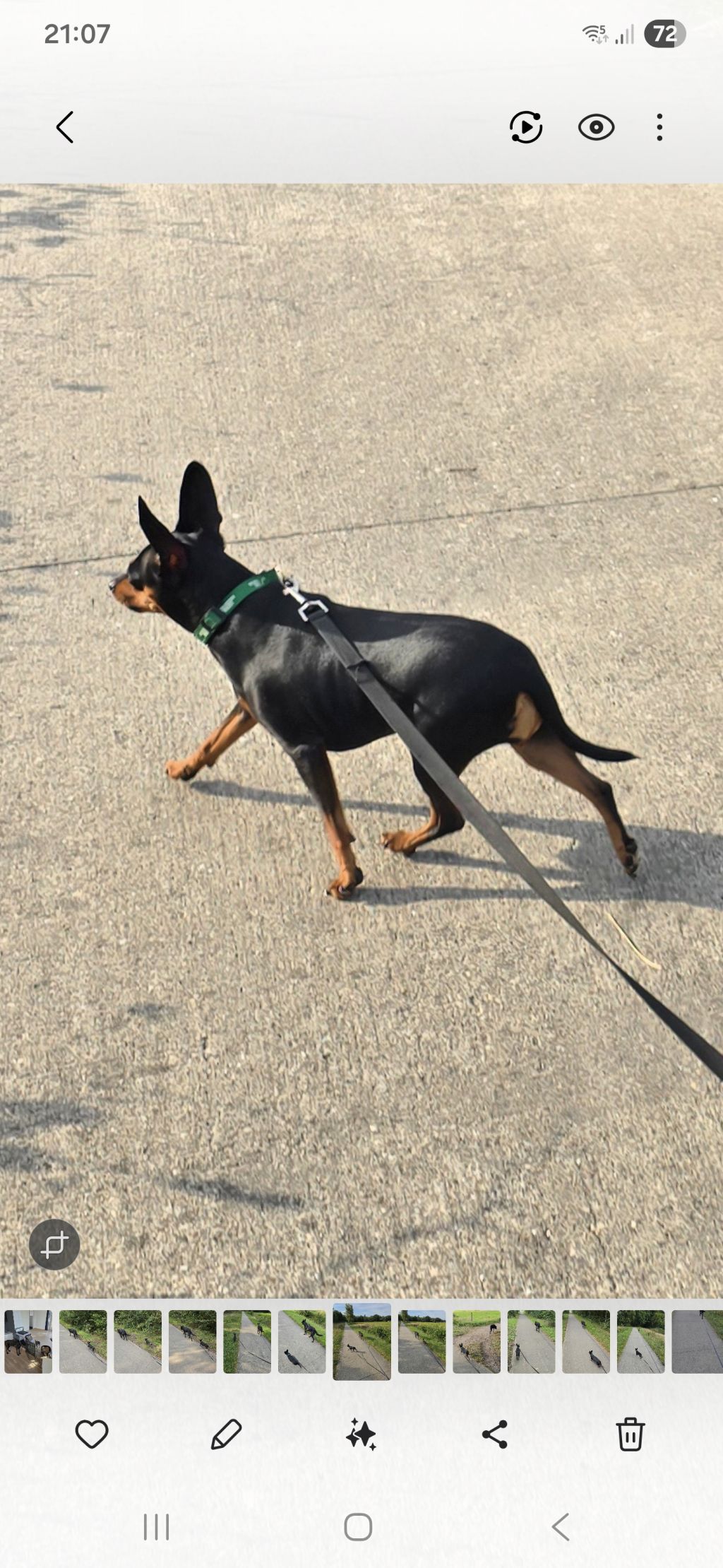 Bambi