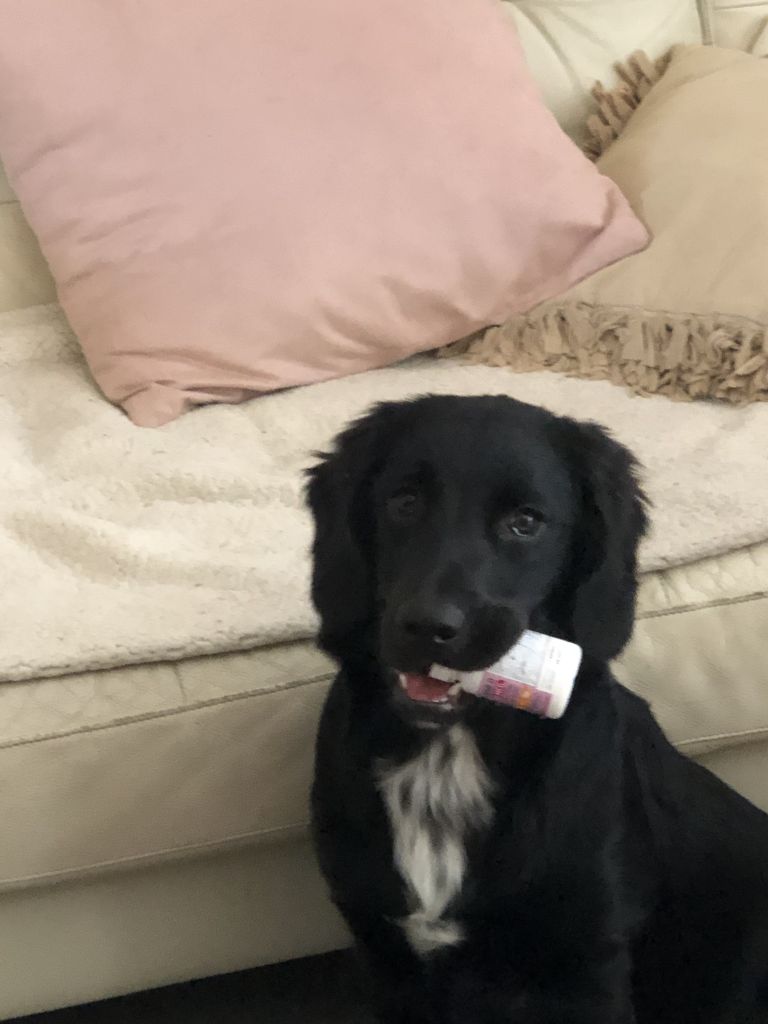 Riley