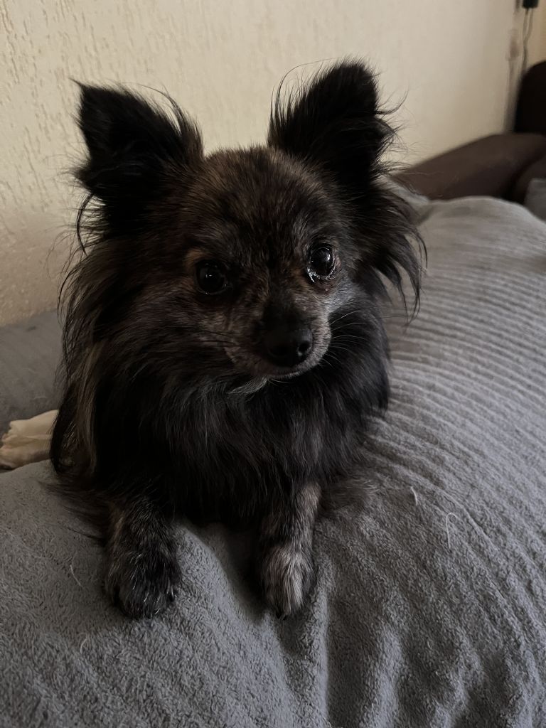 Tiny