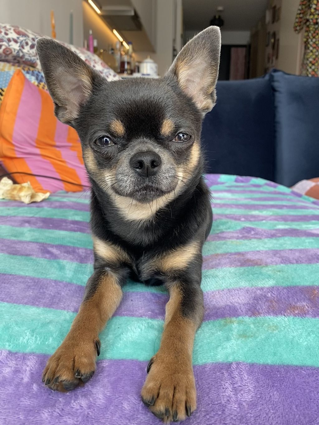 Bowie