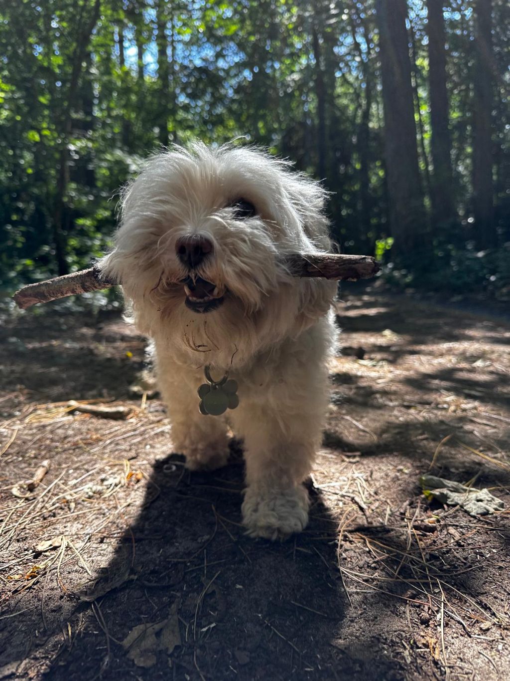 Ronja