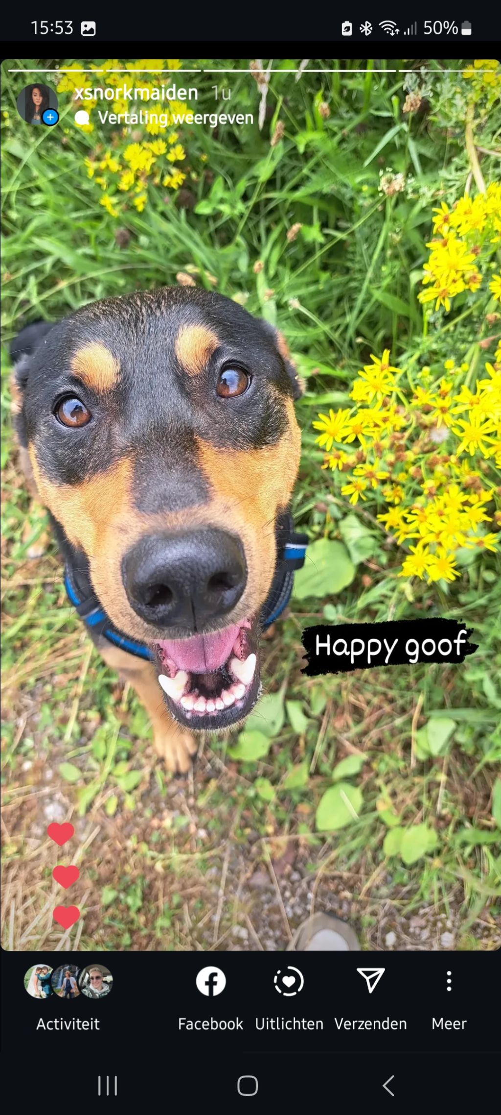 Goof