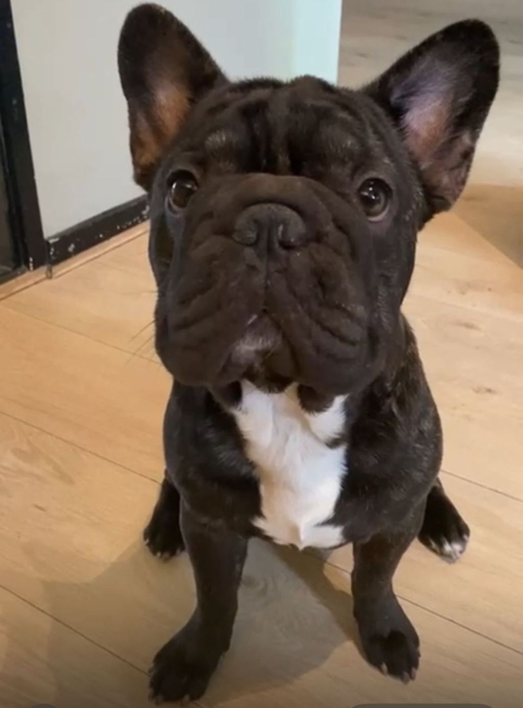 Pablo