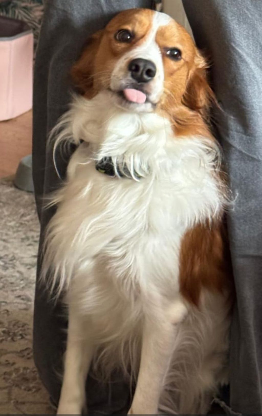 Oscar