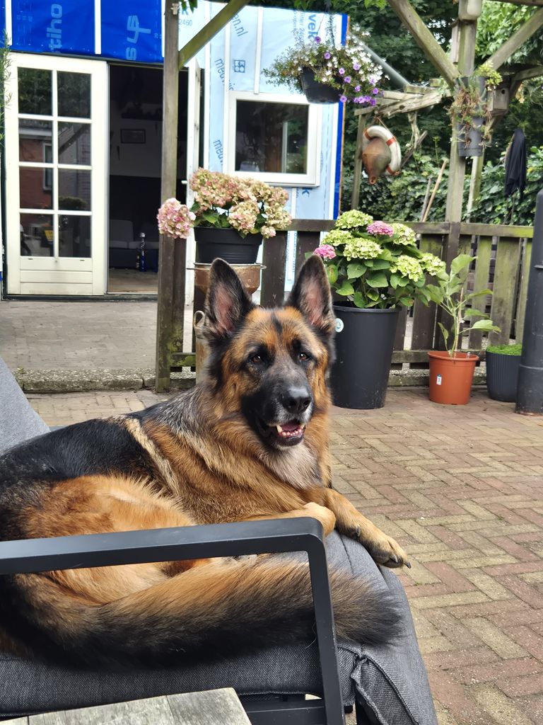 Max