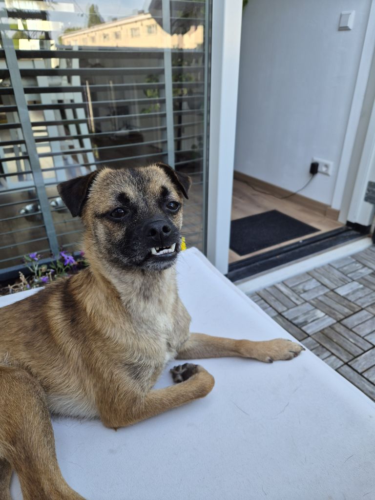 Peukie