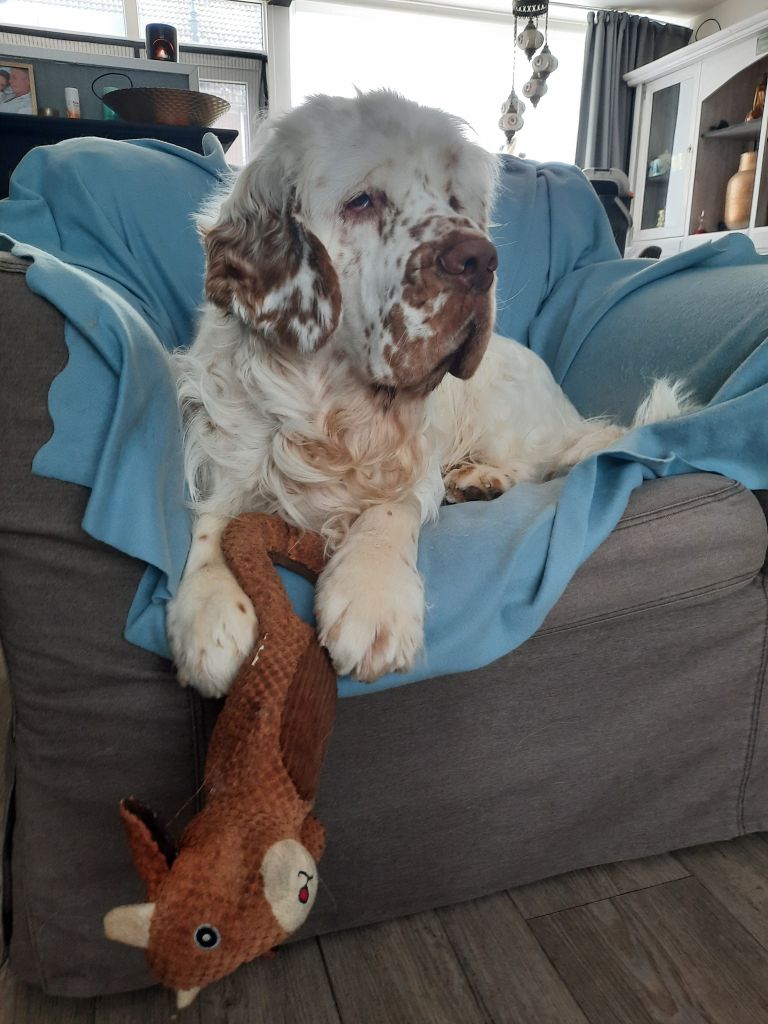 Oliver roepnaam Ollie