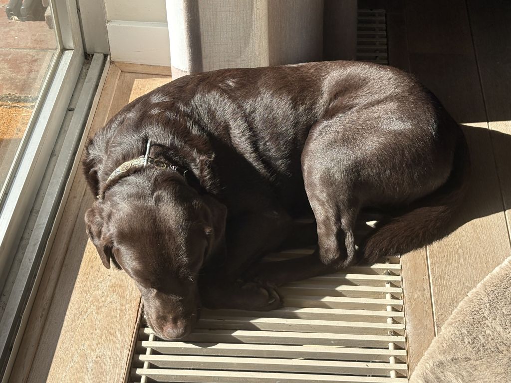Balou