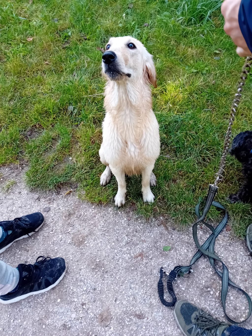 Sonja