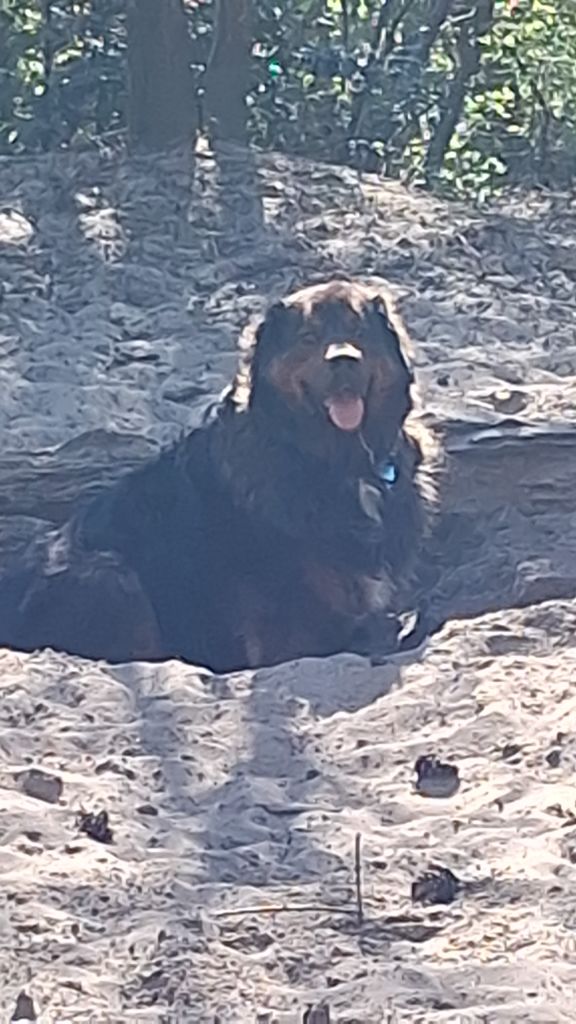Binki