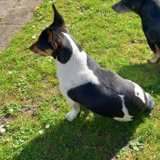 Oscar