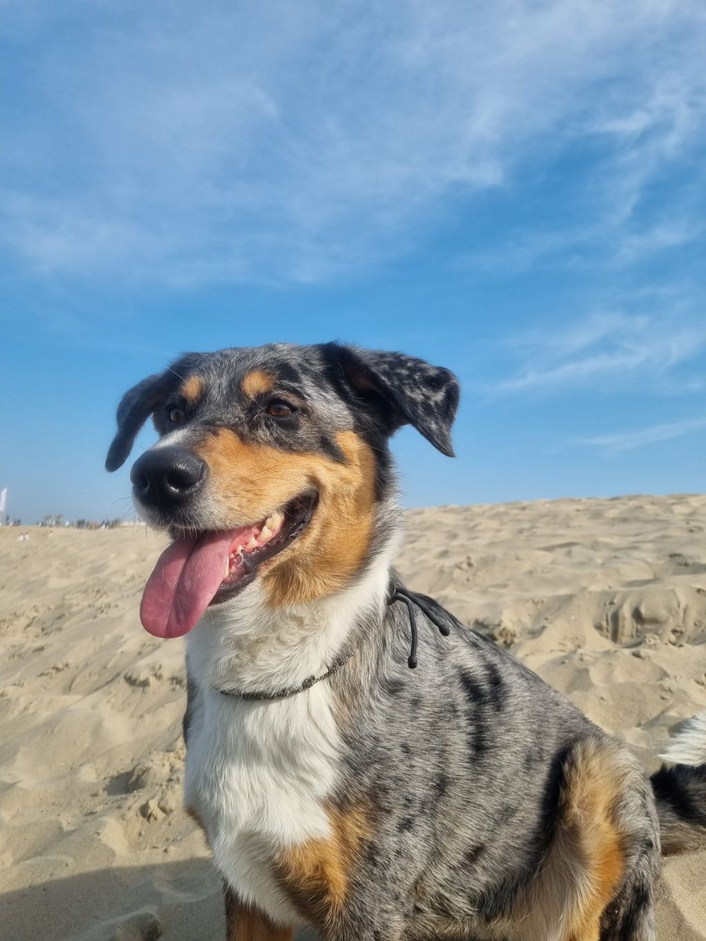 Nacho