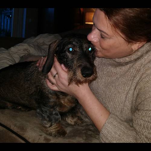 Dr. Snuggles (Snuggy)