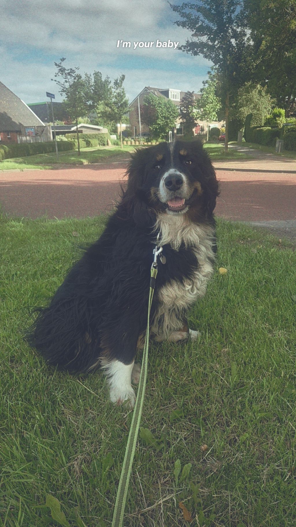 Max