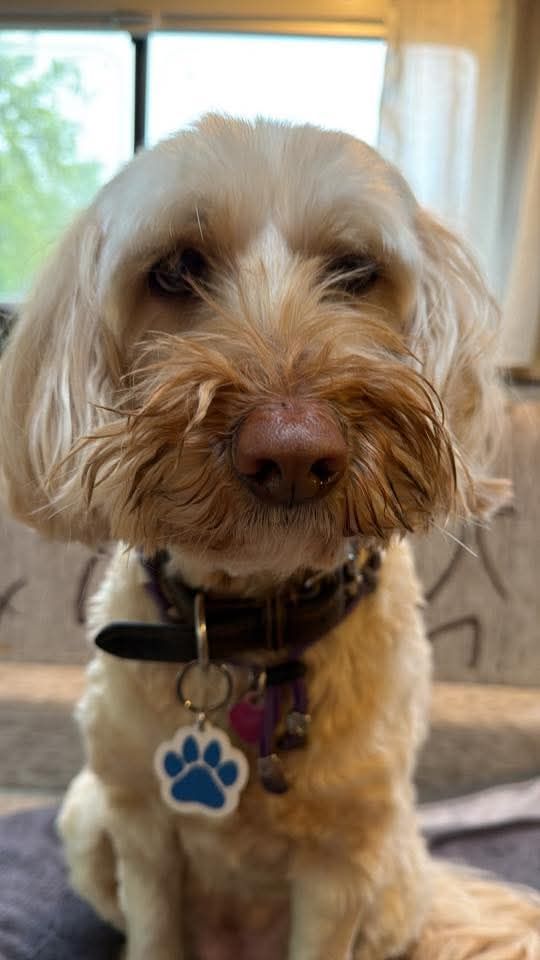 Pip