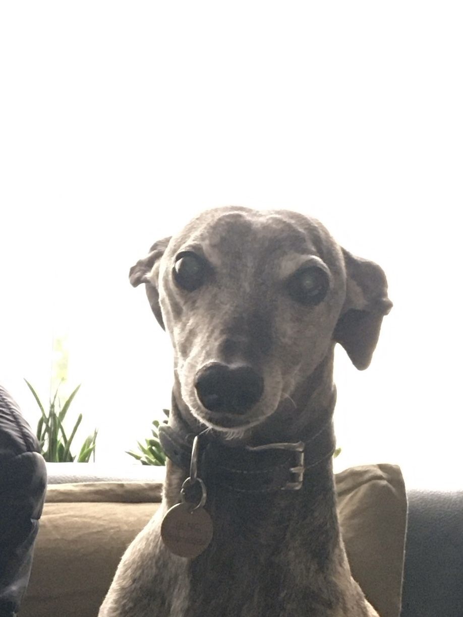 Bengie