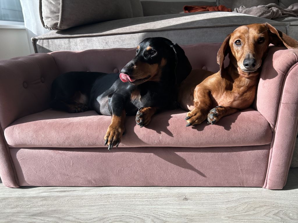 Fred & Dotje