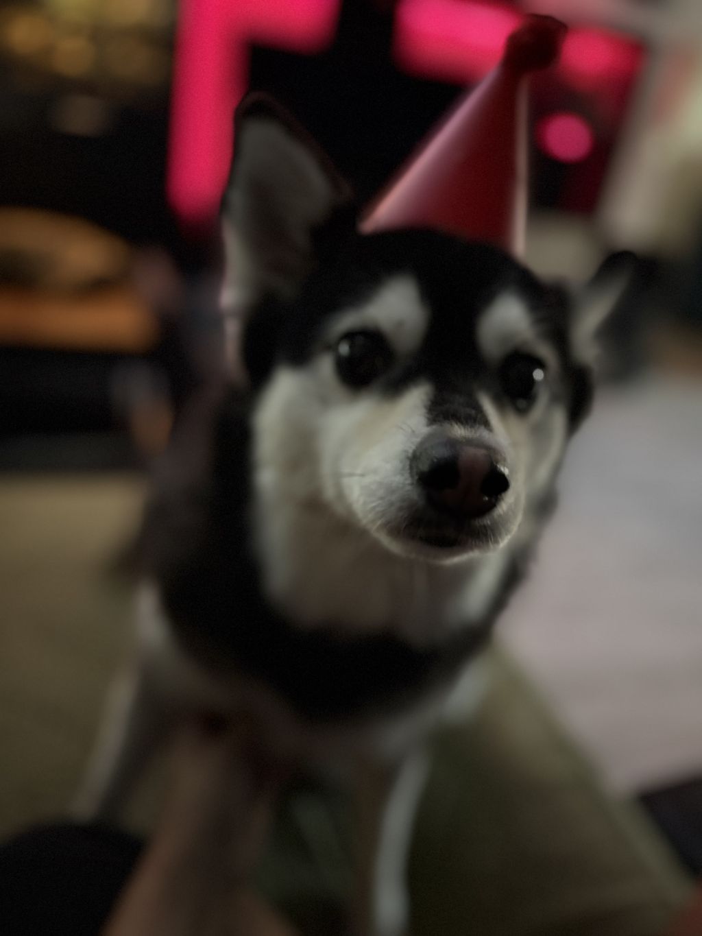 Nacho