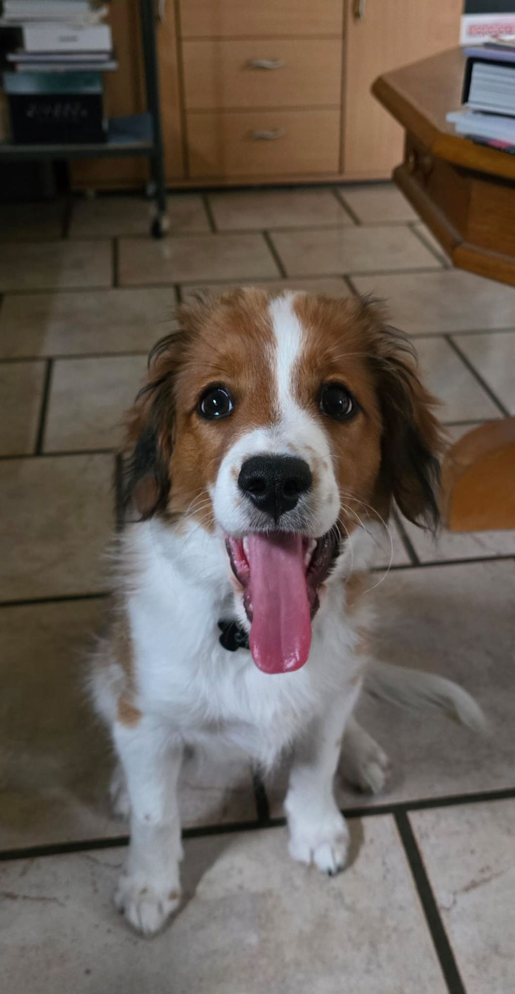 Odin