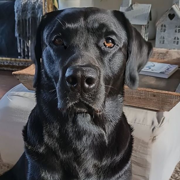 Jax