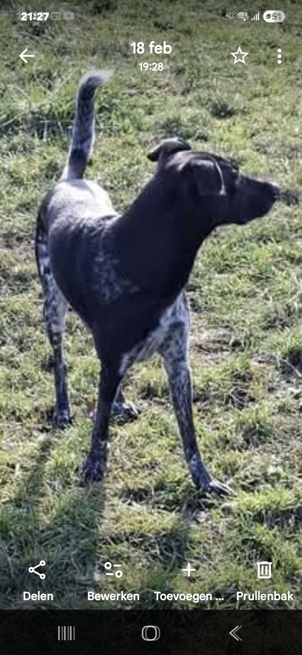 Arkan