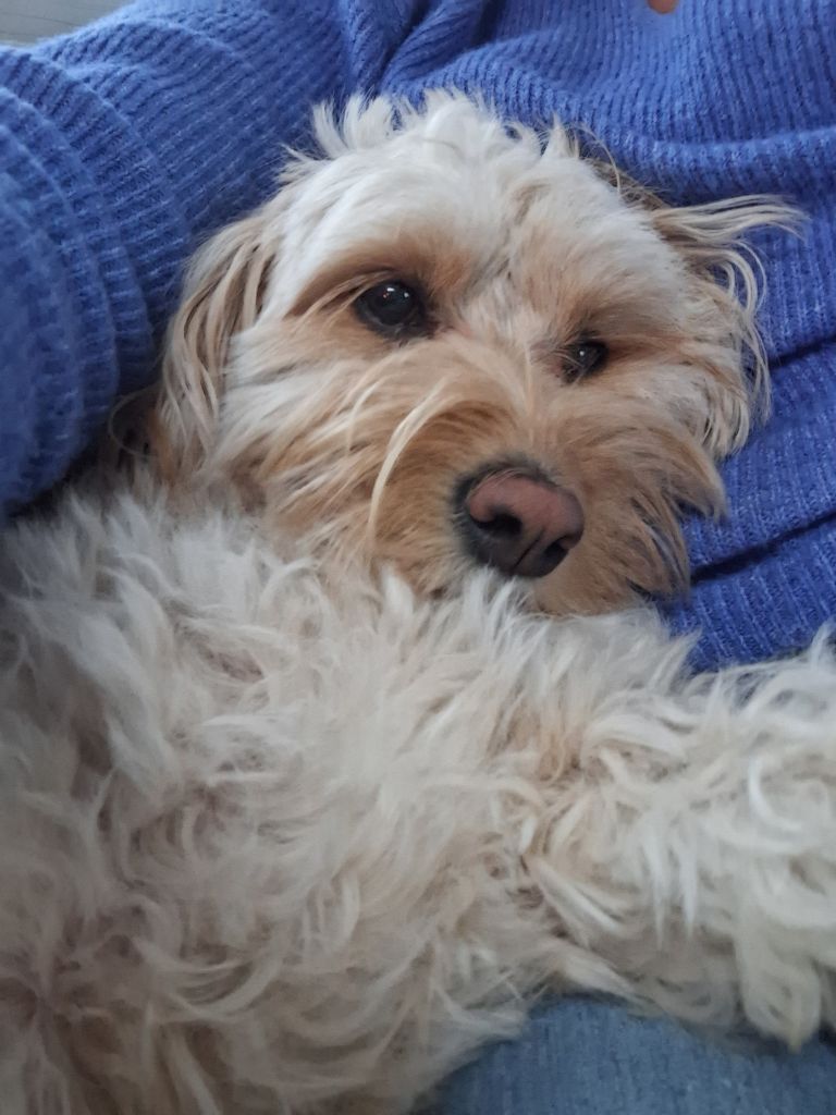 Bobbie