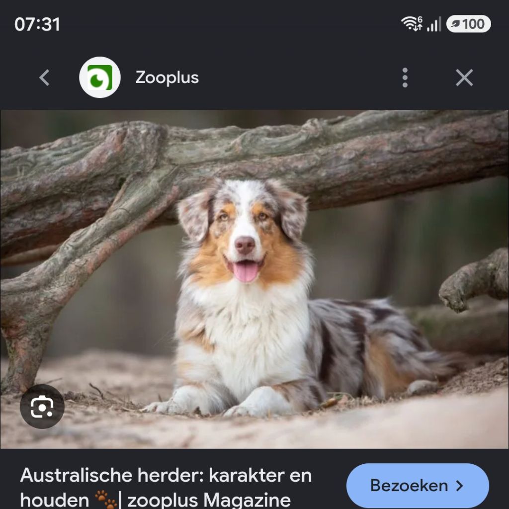 Weet ik nog niet