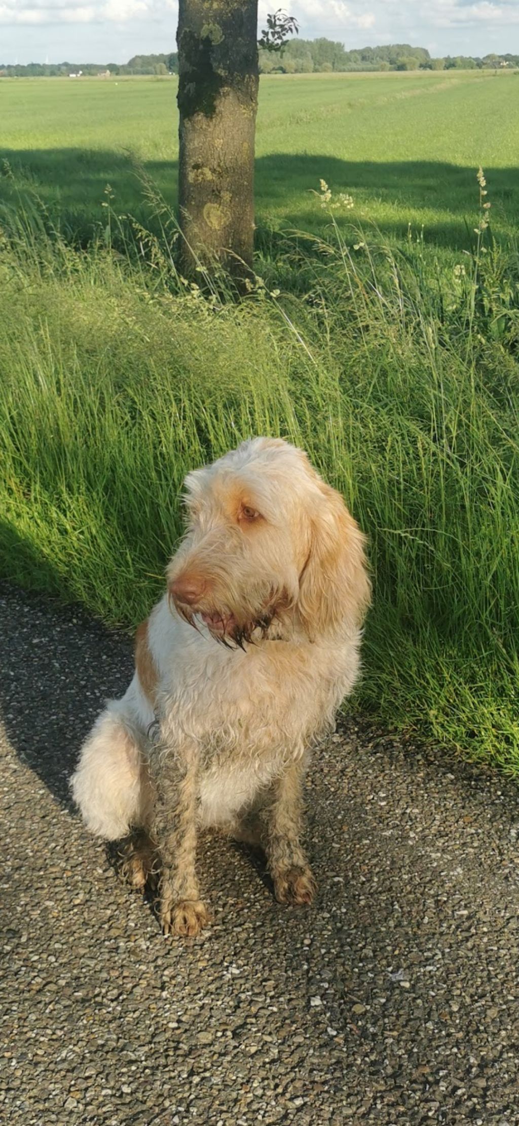 Luka en Abbey